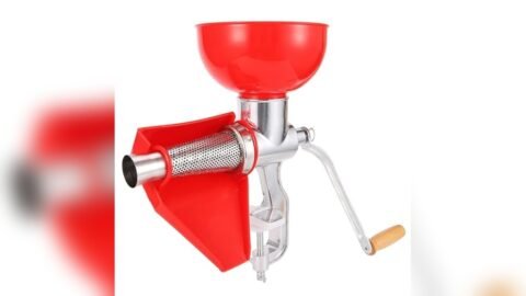 Best Juicer for Making Tomato Juice