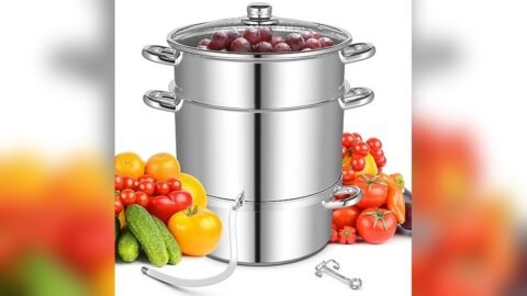 Best Juicer for Muscadines