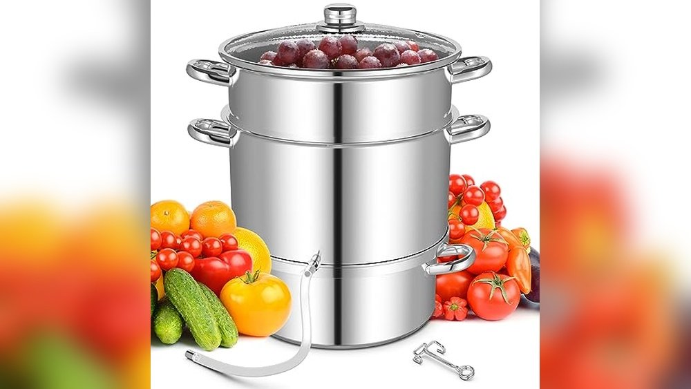 Best Juicer for Muscadines