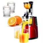 Best Juicer for Raw Vegan: Powerful Cold Press Masticating Machine Review