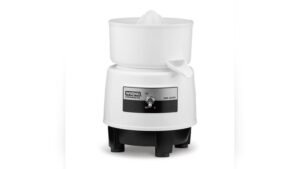 Best Juicer for Small Business