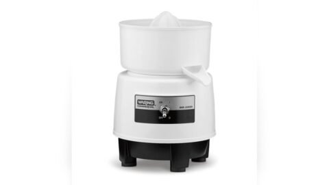 Best Juicer for Small Business