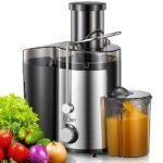 Top Juicers Ideal for Extracting Nutrients from Spinach