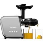 Best Juicer for Turmeric And Ginger: Top Slow Masticating Juicers Reviewed