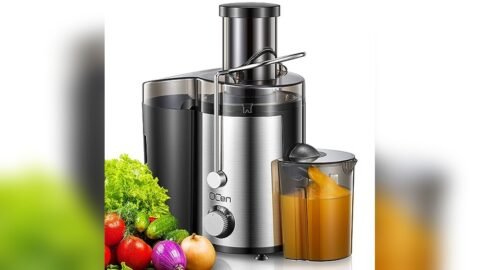 Best Juicer for under $100