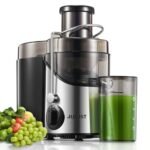 Best Juicer for Vegans: Top Picks for Fresh Vegetable and Fruit Juice