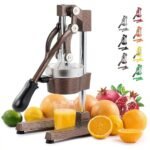 Best Juicer for Watermelon Rind: Top Manual and Commercial Picks