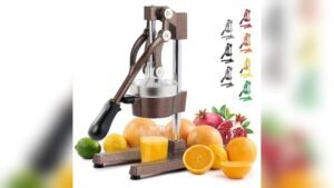 Best Juicer for Watermelon Rind
