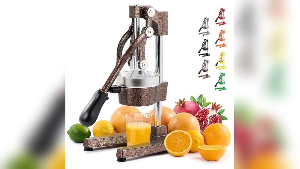 Best Juicer for Watermelon Rind