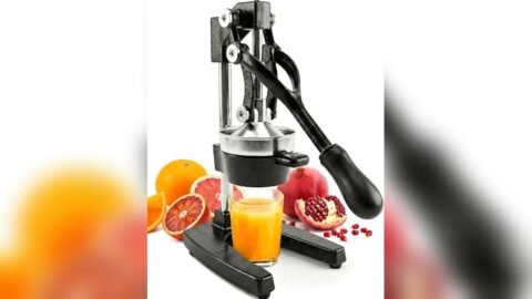 Best Manual Orange Juicer Press