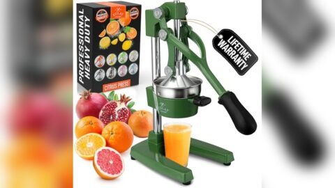 Best Manual Orange Juicer Uk