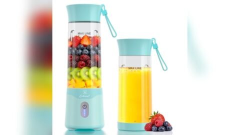 Best Mini Juicer Blender