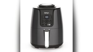 Best Ninja Air Fryer for One Person