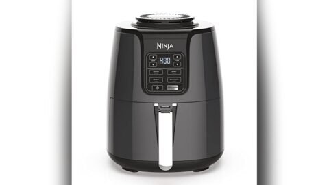 Best Ninja Air Fryer for One Person