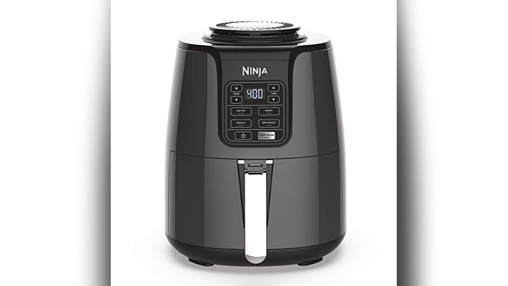 Best Ninja Air Fryer for Two People