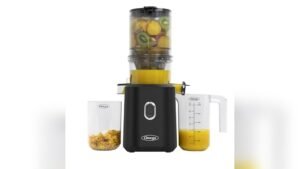Best Omega Cold Press Juicer