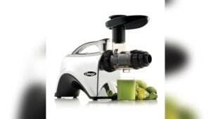 Best Omega Slow Masticating Juicer