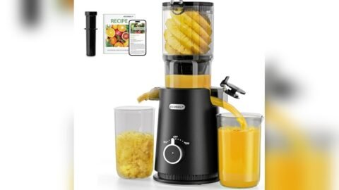 Best Slow Juicer 2019