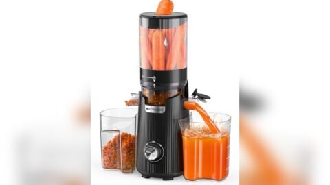 Best Slow Juicer for Carrots
