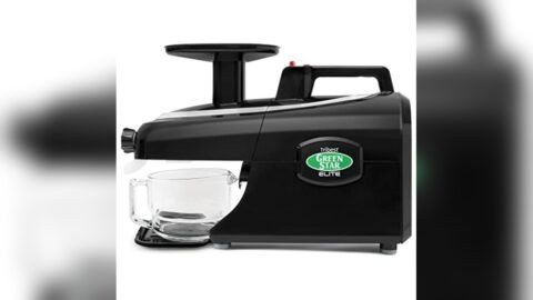 Best Slow Juicer for Greens