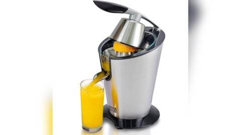 Best Small Electric Citrus Juicer