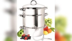 Best Steam Juicer for Canning