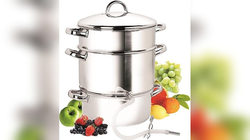 Best Steam Juicer for Canning