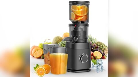 Best Type of Juicer for Nutrients