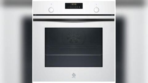 4 Best Air Fryer Ovens for 2022