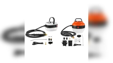 4 Best Steamer for Auto Detailing