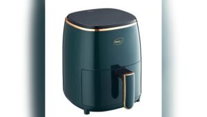 Best Air Fryer for Roasting Meat