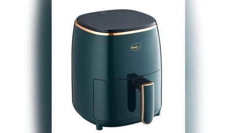 Best Air Fryer for Roasting Meat