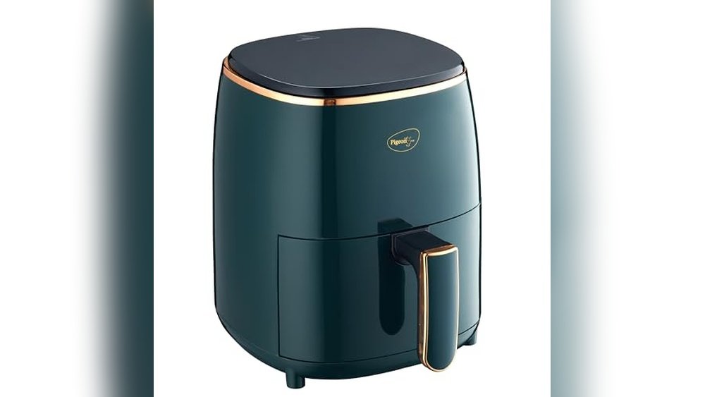Best Air Fryer for Roasting Meat