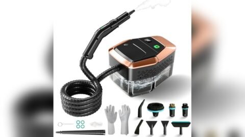 Best Budget Steamer for Auto Detailing