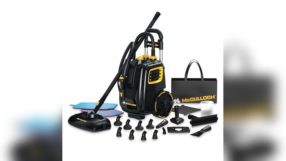 Best Carpet Steamer for Home