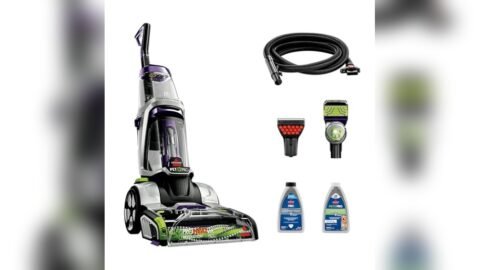 Best Carpet Steamer for Pet Stains