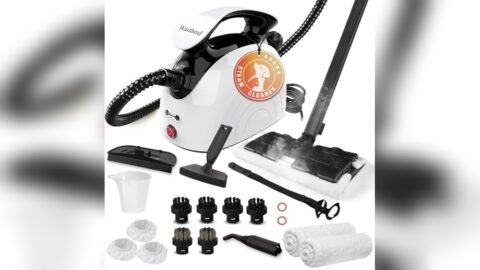 Best Commercial Steamer for Cleaning