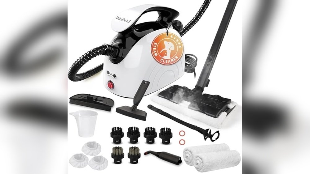 Best Commercial Steamer for Cleaning