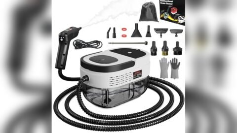 Best Dry Steamer for Bed Bugs