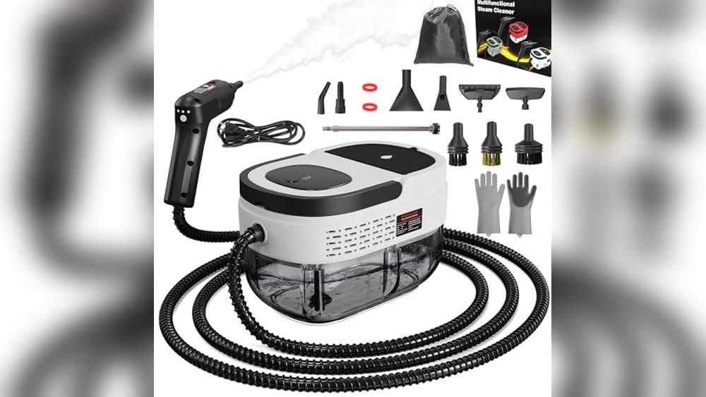 Best Dry Steamer for Bed Bugs