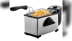 Best Electric Fryer for Indoors