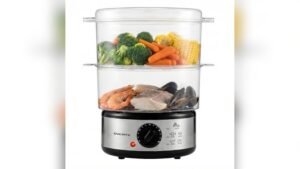 Best Electric Steamer for Cooking
