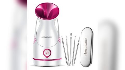 Best Face Steamer for Facial