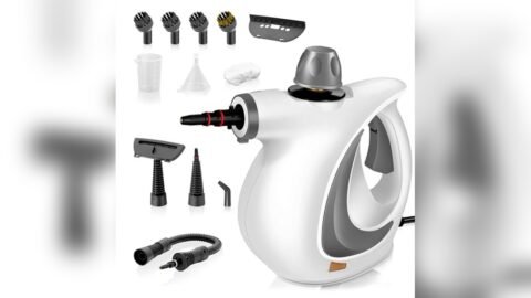 Best Floor Steamer for Home Use
