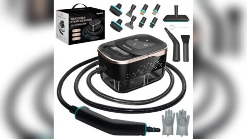 Best Hand Held Steamer for Bed Bugs