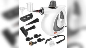 Best Handheld Steamer for Cleaning House
