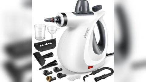 Best Handheld Steamer for Cleaning Shower