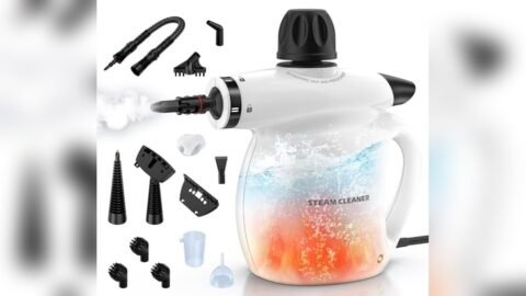 Best Handheld Steamer for Grout