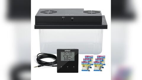 Best Humidifier for Wine Cellar