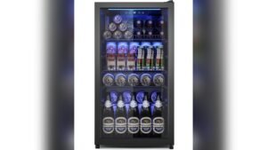 Best Mini Fridge for Wine And Beer